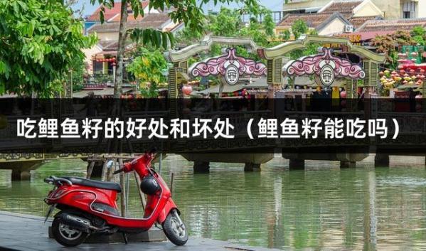 吃鲤鱼籽的好处和坏处（鲤鱼籽能吃吗）