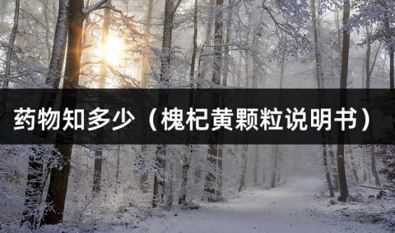药物知多少（槐杞黄颗粒说明书）