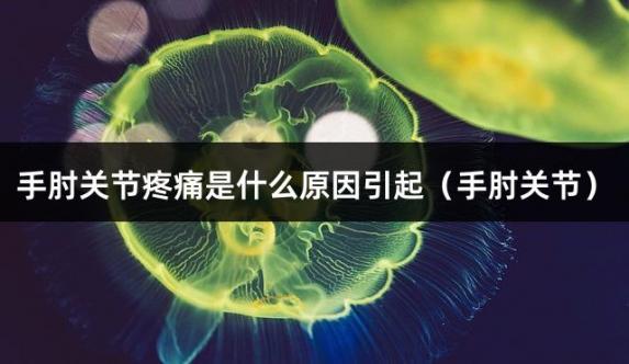 手肘关节疼痛是什么原因引起（手肘关节）
