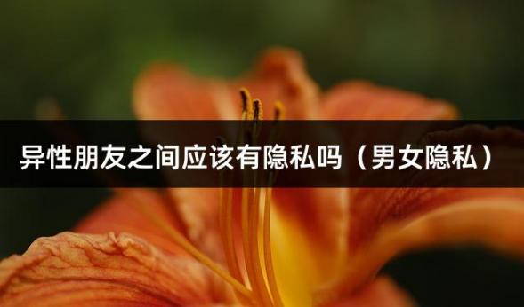 异性朋友之间应该有隐私吗（男女隐私）