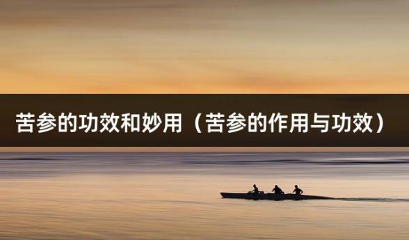 苦参的功效和妙用（苦参的作用与功效）