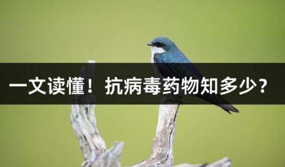 一文读懂！抗病毒药物知多少？
