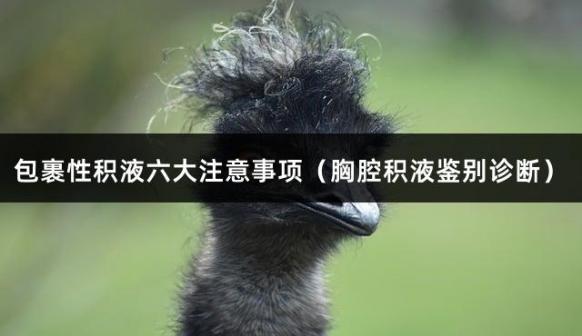 包裹性积液六大注意事项（胸腔积液鉴别诊断）