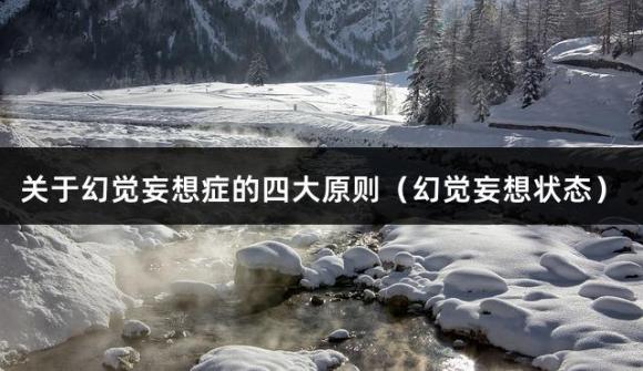 关于幻觉妄想症的四大原则（幻觉妄想状态）