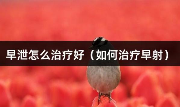 早泄怎么治疗好（如何治疗早射）