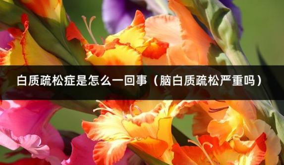 白质疏松症是怎么一回事（脑白质疏松严重吗）
