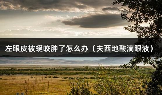 左眼皮被蜒咬肿了怎么办（夫西地酸滴眼液）