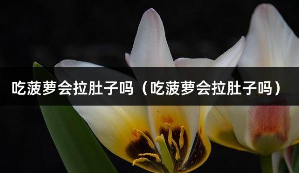 吃菠萝会拉肚子吗（吃菠萝会拉肚子吗）