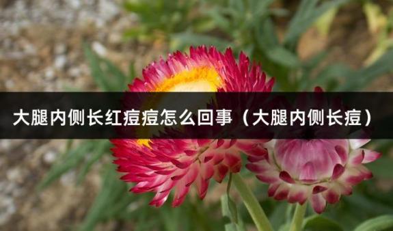 大腿内侧长红痘痘怎么回事（大腿内侧长痘）