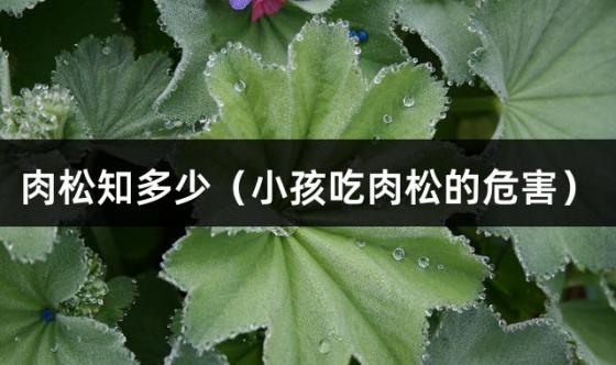肉松知多少（小孩吃肉松的危害）