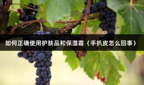 如何正确使用护肤品和保湿霜（手扒皮怎么回事）