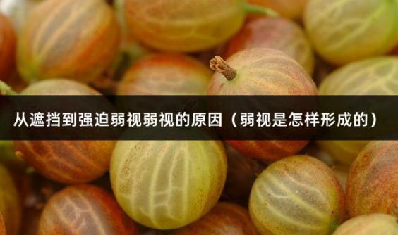 从遮挡到强迫弱视弱视的原因（弱视是怎样形成的）