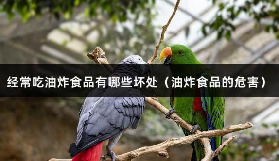 经常吃油炸食品有哪些坏处（油炸食品的危害）