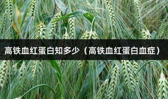 高铁血红蛋白知多少（高铁血红蛋白血症）