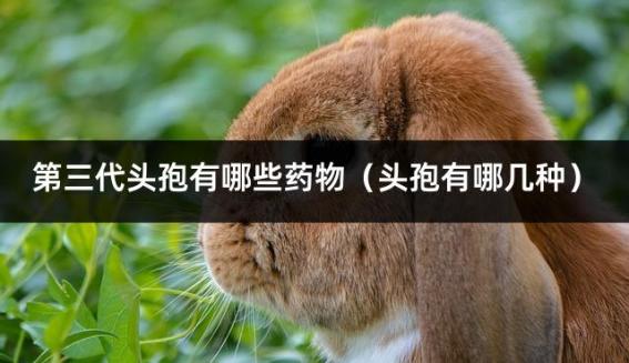 第三代头孢有哪些药物（头孢有哪几种）