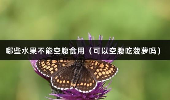 哪些水果不能空腹食用（可以空腹吃菠萝吗）