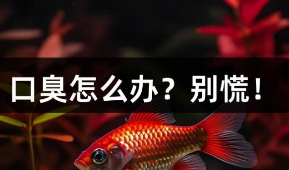 口臭怎么办？别慌！