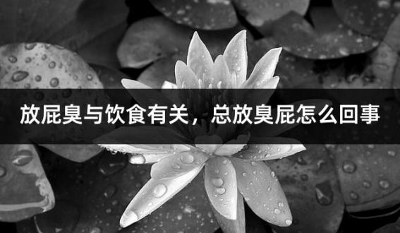 放屁臭与饮食有关，总放臭屁怎么回事