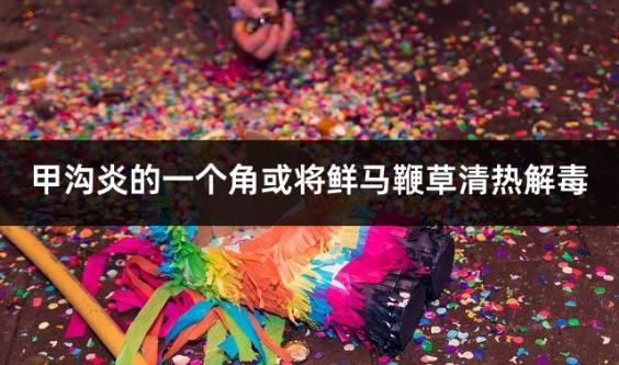 甲沟炎的一个角或将鲜马鞭草清热解毒