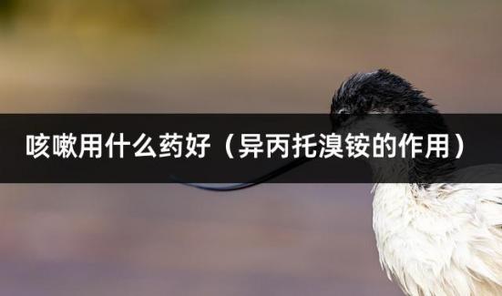 咳嗽用什么药好（异丙托溴铵的作用）