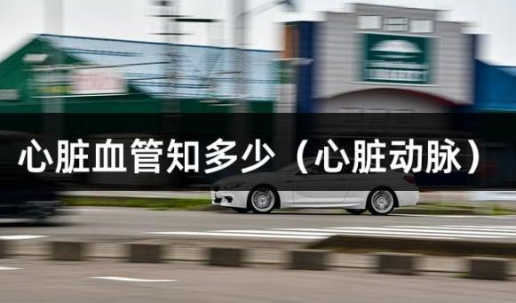 心脏血管知多少（心脏动脉）