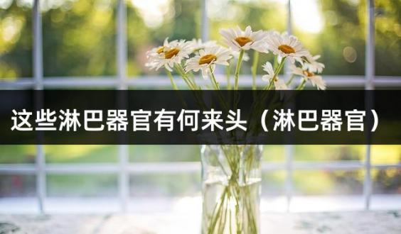 这些淋巴器官有何来头（淋巴器官）