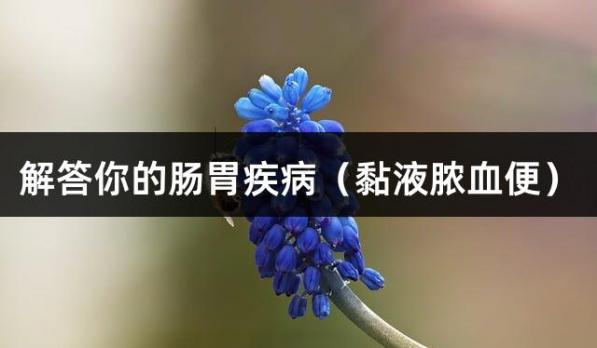 解答你的肠胃疾病（黏液脓血便）