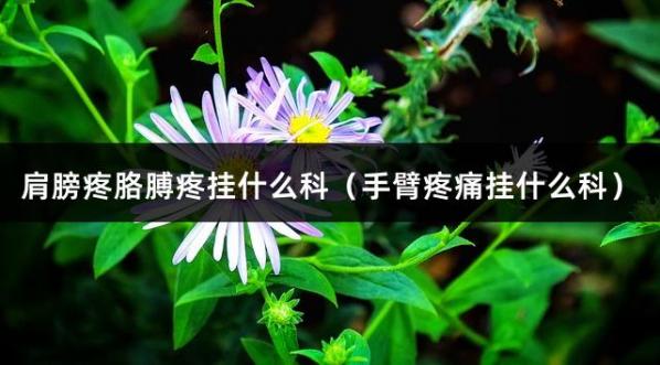 肩膀疼胳膊疼挂什么科（手臂疼痛挂什么科）