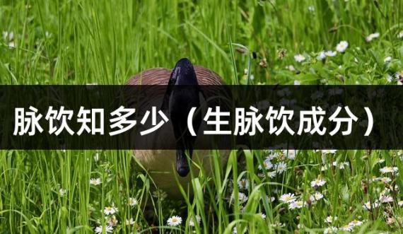 脉饮知多少（生脉饮成分）