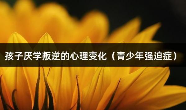 孩子厌学叛逆的心理变化（青少年强迫症）