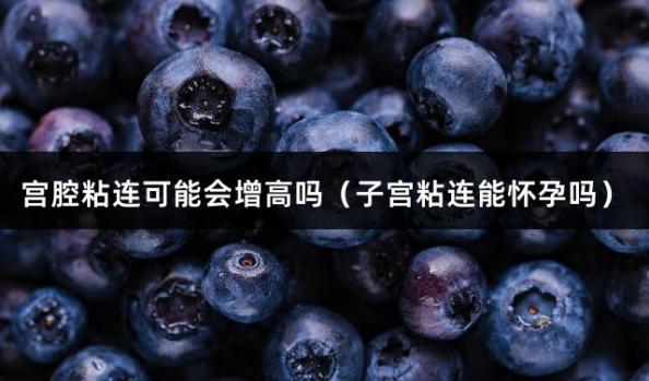 宫腔粘连可能会增高吗（子宫粘连能怀孕吗）