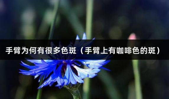 手臂为何有很多色斑（手臂上有咖啡色的斑）