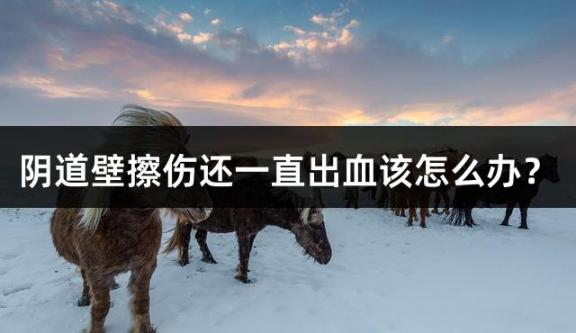 阴道壁擦伤还一直出血该怎么办？