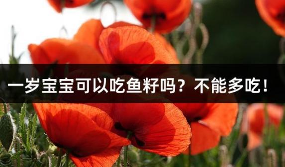 一岁宝宝可以吃鱼籽吗？不能多吃！