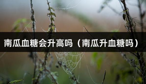 南瓜血糖会升高吗（南瓜升血糖吗）