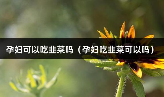 孕妇可以吃韭菜吗（孕妇吃韭菜可以吗）