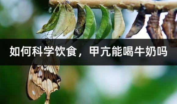 如何科学饮食，甲亢能喝牛奶吗