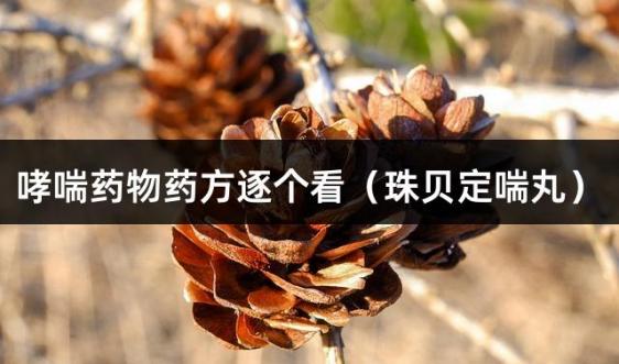 哮喘药物药方逐个看（珠贝定喘丸）