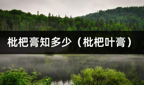枇杷膏知多少（枇杷叶膏）