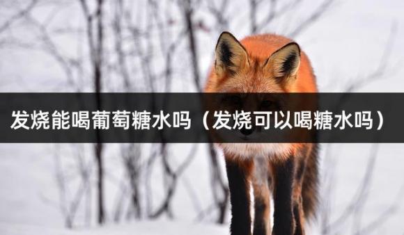 发烧能喝葡萄糖水吗（发烧可以喝糖水吗）