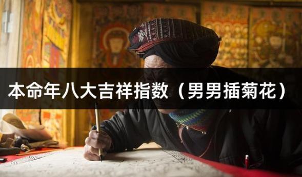 本命年八大吉祥指数（男男插菊花）