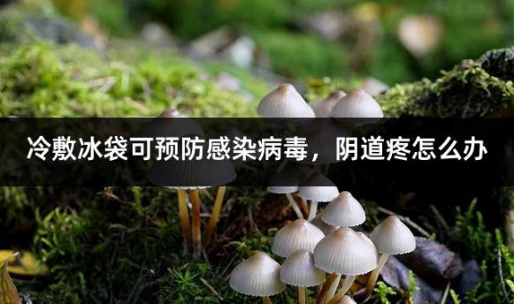 冷敷冰袋可预防感染病毒，阴道疼怎么办