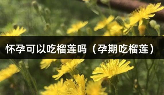 怀孕可以吃榴莲吗（孕期吃榴莲）