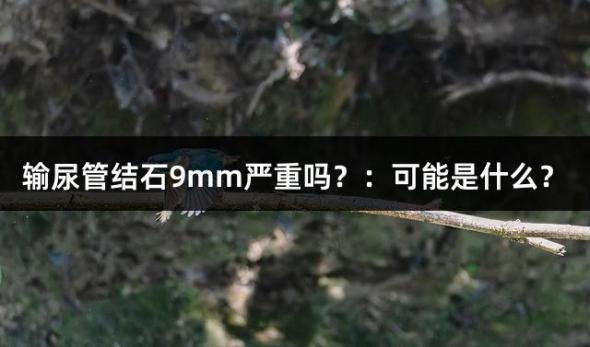 输尿管结石9mm严重吗？：可能是什么？