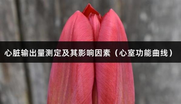 心脏输出量测定及其影响因素（心室功能曲线）
