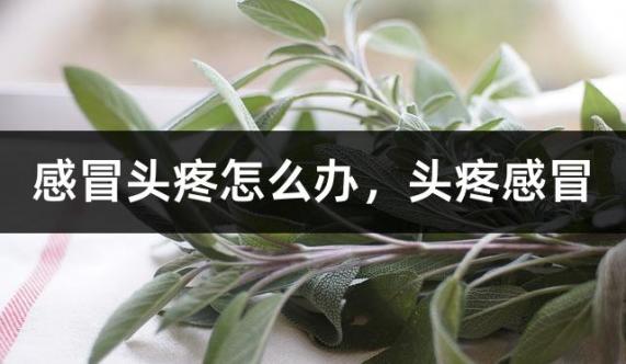 感冒头疼怎么办，头疼感冒