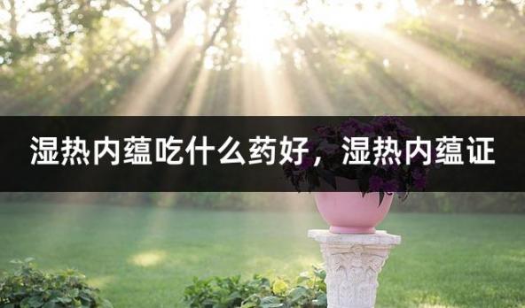 湿热内蕴吃什么药好，湿热内蕴证