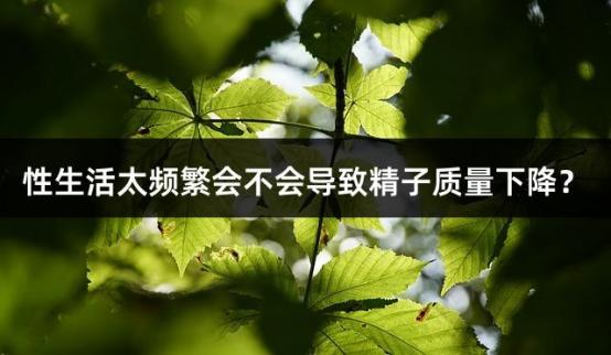 性生活太频繁会不会导致精子质量下降？