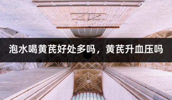 泡水喝黄芪好处多吗，黄芪升血压吗