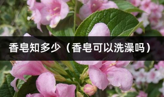 香皂知多少（香皂可以洗澡吗）